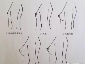 如何应对刚发育的女同学用胸蹭你知乎：这些方法或许能帮到你